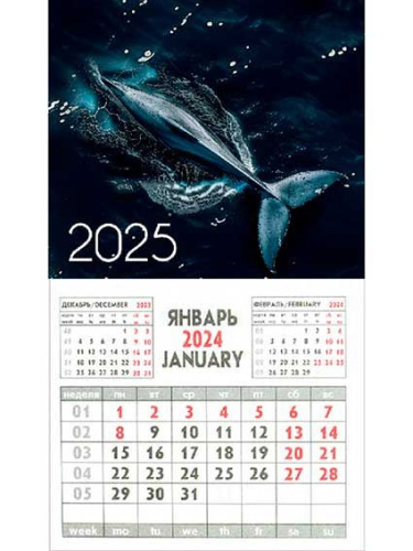 Календарь настенный 2025г. Проф-Пресс "Величественный кит" КМ-9573 магнит.,склейка,офс.80г/м2