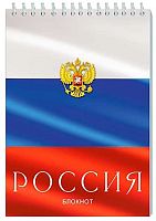 Блокнот А5  32л. АППЛИКА спираль "Триколор. Россия" С1496-32 клетка