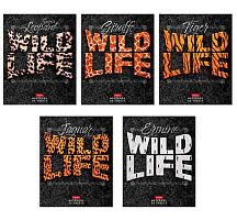 Тетрадь 80л. (клетка) ХАТ "Wild Life" мат.лам.,асс.