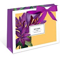 Пакет подар. Арт Дизайн 23*18*10см 0557.221 делюкс