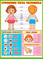 0.0-02-195 Плакат А2 "Строение тела человека" (МО)