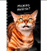 Тетрадь 80л. (клетка) А4 ЭКСМО спираль "Котики" ТС2Л4805211 мел.карт.,твин-лак