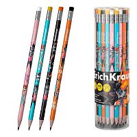 Карандаш ч/гр. с ласт. EK "Ну, Погоди! Каникулы" 62637 HB,трёхгр.,асс.