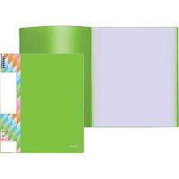 Папка с вкладышами/ 30 deVENTE А4 "Juicy" 3105700 салатовая 450мкм фактура "песок" непрозр.