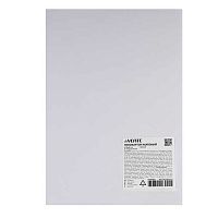 Пенокартон deVENTE 8119303 370г/м2, 30*40см, 5мм,мат.белый,пластик.пакет