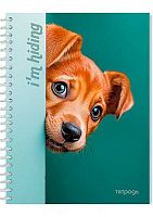 Тетрадь 40л. (клетка) АППЛИКА спираль "Любопытный щенок" С0154-02