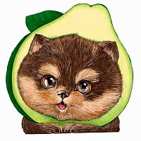 Блокнот 12*11,7см  30л. ФЕНИКС "Авокадопес" 63037 выруб.,обл.мелов.карт.,вн.блок-белый офс.