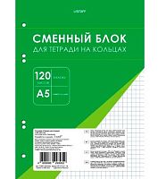 Сменный блок для тетради 120л. А5 ЭКСМО "В клетку" СБК1205166