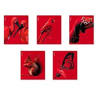 Тетрадь 48л. (клетка) EK "Scarlet" 64868 выб.уф-лак,лам.софт-тач,асс.