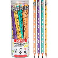 Карандаш ч/гр. пластик. с ласт. deVENTE "Flower" 5031427 HB,2мм,трёхгр.,заточ.,цв.пастел.корп.