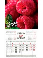 Календарь настенный 2025г. Проф-Пресс "Розовая малина" КМ-9556 магнит.,склейка,офс.80г/м2