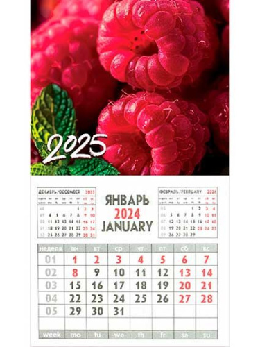 Календарь настенный 2025г. Проф-Пресс "Розовая малина" КМ-9556 магнит.,склейка,офс.80г/м2