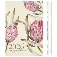 Ежедневник 2026г. А5 160л. ФЕНИКС тв.обл. "Протея" 71538 выб.уф-лак,мат.лам.,бел.бум.