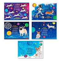 Альбом для рис.32л. SVETOCH "Класс. Всё вокруг меня" 32АЛСК4_3_3_9 (000214) на скобе,глянц.лам.