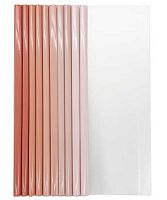 Папка боковой зажим А4 INTELLIGENT DI-10 прозрачн.,пластик.,клип коралловый