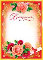 0.9-19-041 Благодарность (МО)