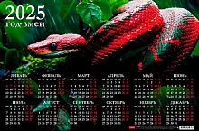Календарь настенный листовой А3 2025г. ХАТ "Год Змеи" 31713 мелов.
