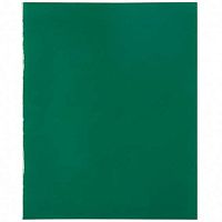 Тетрадь 48л. (клетка) АБ б/в обл. "Тёмно-зелёная" Т 5048 Б2