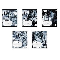 Тетрадь 18л. (линейка) EK "Timber Wolf" 60563 асс.