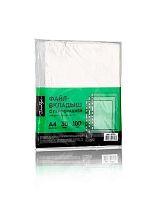 Карман с перфорацией  30мкм А4 ГЛОБУС ФВ30