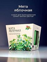 Набор д/выращивания АЛЕФ Магия цветов "Мята яблочная" mf-005 