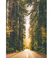 Ежедневник н/д А5 128л. ЭКСМО тв.обл. "Дорога в лесу" ЕЖ23512814 глянц.лам.