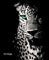 Тетрадь 48л. (клетка) АППЛИКА "Леопард на чёрном" С0230-04 обл.мел.карт.