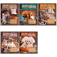 Тетрадь 24л. (линейка) ПЗБФ "Кот и пёс" 019230 вд-лак,эконом