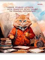 Тетрадь предм. 48л. Проф-Пресс "Жил-был кот-Алгебра" Т48-1443 (клетка)