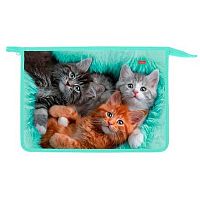 Папка д/тетрадей А4 ХАТ "Котики бывают разными" 04047 2отд.,пласт.,на молн.