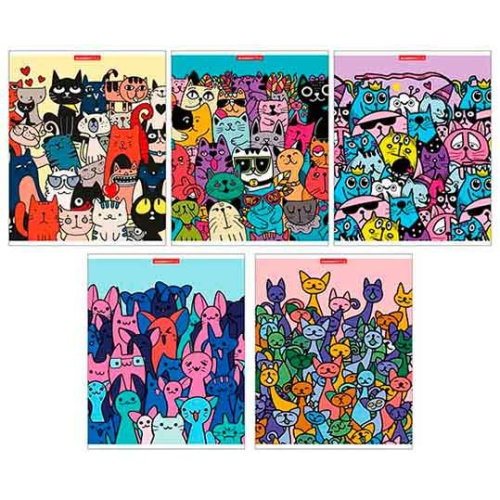 Тетрадь 48л. (клетка) КанцБиз "Котовасия" 13051/5 твин уф-лак