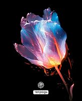 Тетрадь 48л. (клетка) АППЛИКА "Цветок на чёрном" С0230-02 обл.мел.карт.