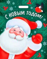 Пакет полиэт. 38*48см "С новым годом!" 56,021,00 