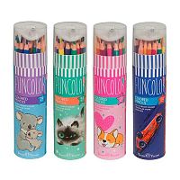 Карандаши пластик. 24цв. BV "Funcolor" 30-0087 трёхгр.корп.,карт.тубус с точилкой