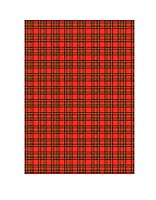 Бумага упак. 50*70см "Шотландская классика" (1лист) 214-636