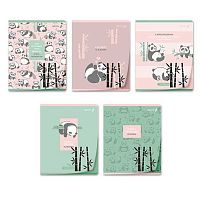 Тетрадь 48л. (клетка) SVETOCH пластик.обл. "Что устало - то упало" Т65 (01502)