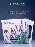 Набор д/выращивания АЛЕФ Магия цветов "Лаванда" mf-015