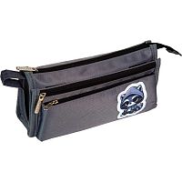 Пенал-косметичка deVENTE 225*110*90 "Cool Raccoon" 7029663 (80предм.) прямоуг.,тёмн.-серый