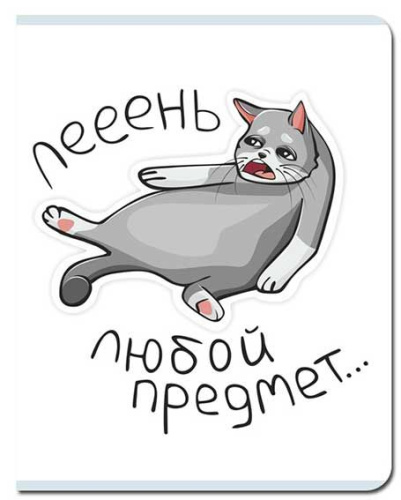 Тетрадь 48л. (клетка) FB "Лень" FB253