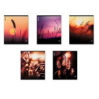 Тетрадь 48л. (клетка) EK "Macro Nature" 64861 мат.лам.,асс.