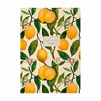 Бизнес-блокнот А4 160л. АЛЬТ тв.обл. "Flora. Lemons" 3-160-490/19 глянц.лам.,клетка