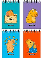 Блокнот А7  40л. Проф-Пресс спираль "Забавная капибара" Б40-9333 клетка,мел.карт.