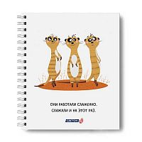 Тетрадь 48л. (клетка) SVETOCH пластик.обл. спираль "Сурикаты" ТЕТ48-003 (000823)