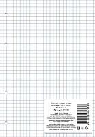 Сменный блок для тетради 100л. А4 АППЛИКА С1604 белый