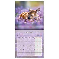 Календарь настенный 2027г. BG "Мир животных" 391059 мел.бум.,105г/м2,290*290мм,на скобе