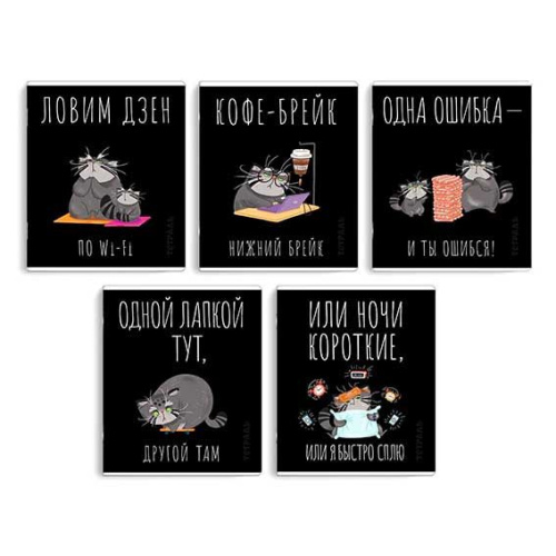 Тетрадь 48л. (клетка) ФЕНИКС "Серый кот" 68541 выб.твин-лак,мел.карт.,асс.