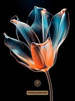 Ежедневник н/д А6  48л. АППЛИКА "Тюльпан на чёрном" С1365-88 обл.мел.карт.