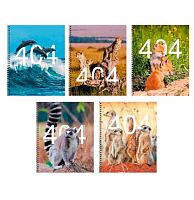 Тетрадь 48л. (клетка) ЭКСМО спираль "Not Found" ТСЛ488441 мел.карт.,выб. лак.,асс.