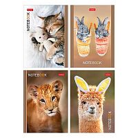 Блокнот А6  24л. ХАТ "В мире животных" обл.мел.бум.,глянц.лам.,асс.
