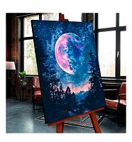 Картина по номерам со светящейся краской Котеин "Луна" 40*50см FHR0653 (14цв.)